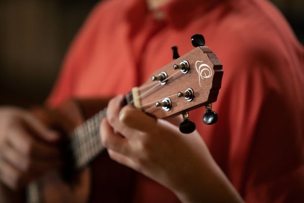 Укулеле Ortega Bonfire RU5MM-SO Soprano Ukulele Sapele Natural 123835 фото