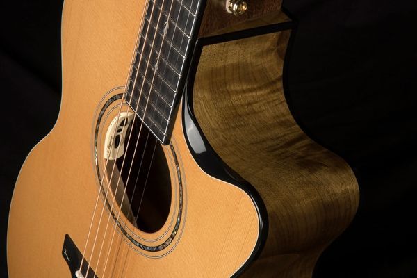 CORT GOLD-Edge Electric Guitar 40390 photo