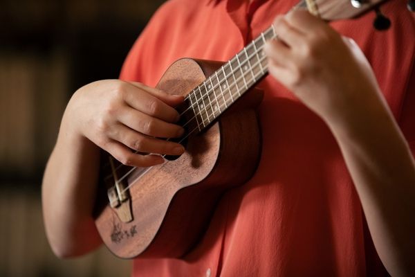 Укулеле Ortega Bonfire RU5MM-SO Soprano Ukulele Sapele Natural 123835 фото