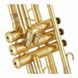 Труба Adams A10 Brass 050 Selected GL 369831 фото 6