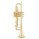 Труба Adams A10 Brass 050 Selected GL 369831 фото 2