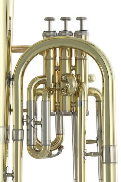 Альт Roy Benson AH-301 Eb-Alto Horn G-RB701464 фото