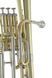 Альт Roy Benson AH-301 Eb-Alto Horn G-RB701464 фото 8