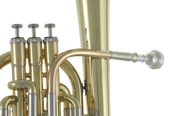 Альт Roy Benson AH-301 Eb-Alto Horn G-RB701464 фото