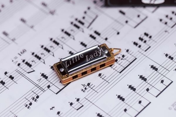 Губная гармошка Hohner Miniature Little Lady M109007 C-major (1 шт., брелок) 128843 фото