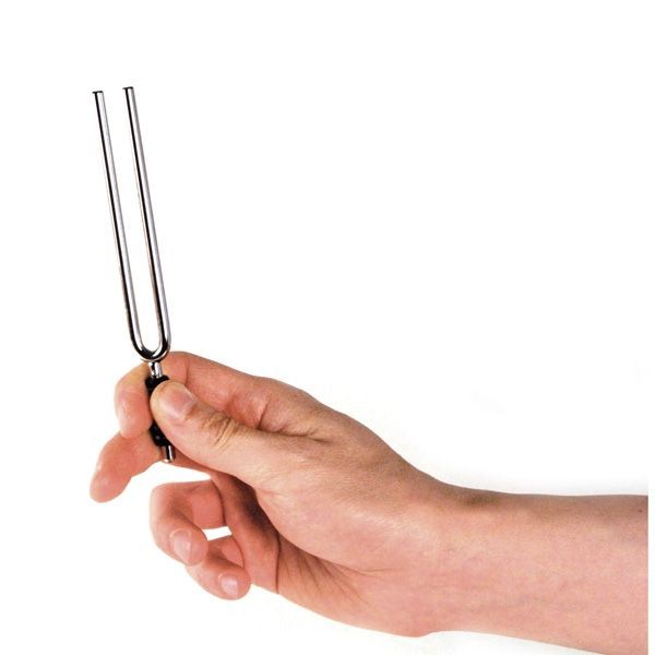 D'ADDARIO PWTF-E TUNING FORK (E) 22472 фото