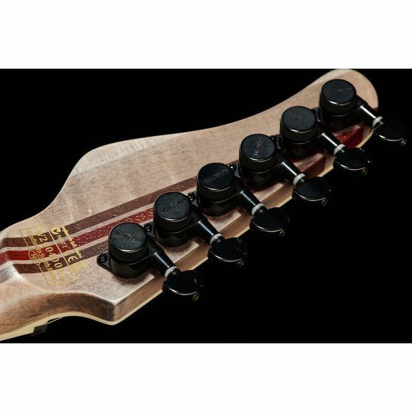 Электрогитара SCHECTER PT SLS Elite Evil Twin 492351 фото