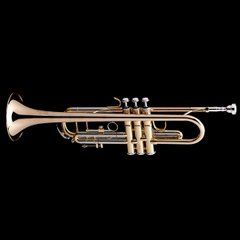 Bb Professional Trumpet Wessex R38, lacquer R38-L photo