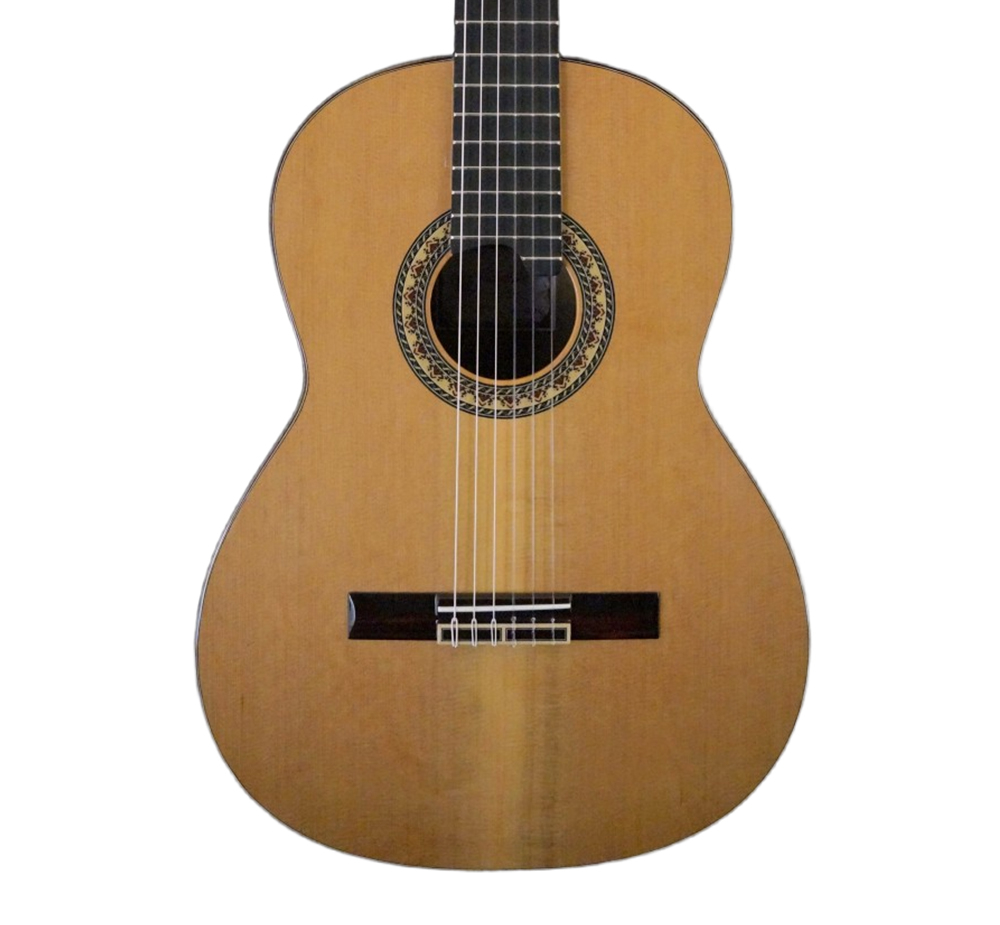 Prudencio Saez 6-M Cedar Top — full view