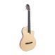 Prudencio Saez Stage Nylon-string electric guitar 123902 photo 4