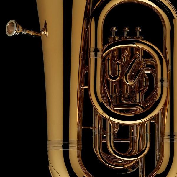 British F Tuba Wessex TF458XP, gold brass lacquered TF458XP-GL photo