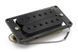 MAXTONE GH-2RF (B) 21469 фото 1