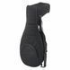 Лютня Thomann Renaissance Lute Deluxe 7C