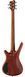 WARWICK Teambuilt Pro Series Corvette Bubinga, 5-String, Active (Natural Transparent Satin) 32376 фото 3