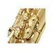 Альт-саксофон Henri Selmer Paris SeleS Axos Henri Selmer Paris-Seles Axos фото 7