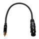 Комплект активной акустической системы Fun Generation PL 110 A Power Bundle 434633 фото 13
