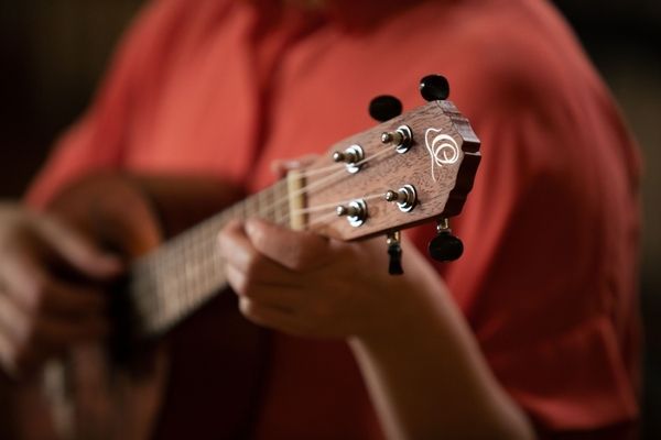 Укулеле Ortega Bonfire RUPA5MM Concert Ukulele Sapele Natural 125111 фото