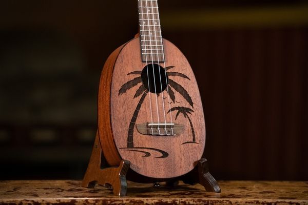 Укулеле Ortega Bonfire RUPA5MM Concert Ukulele Sapele Natural 125111 фото