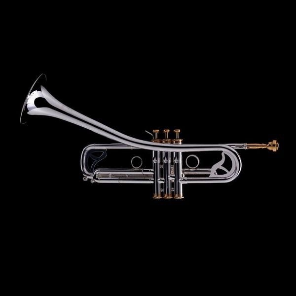 Джазовая труба Bb &laquo;Strato&raquo; Wessex R450 R450-SG фото
