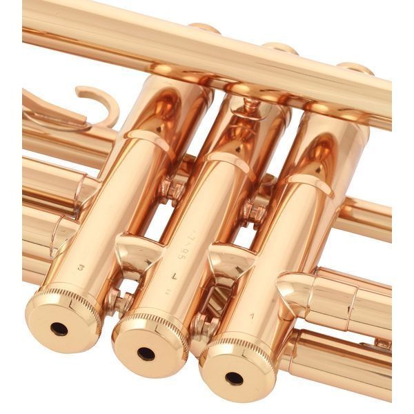 Труба Adams A9 Brass 050 Selected L CL (Bb) 329707 фото