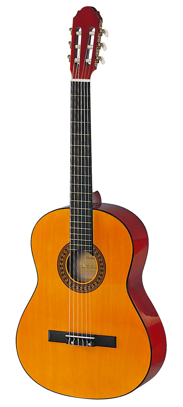 Maxtone CGC390N — загальний вигляд