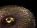 Тарілка Meinl Byzance Extra Dry B21TSR Mike Johnston Transition Ride 21" 122977 фото 8
