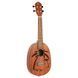 Укулеле Ortega Bonfire RUPA5MM Concert Ukulele Sapele Natural 125111 фото 1