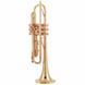 Труба Adams A9 Brass 050 Selected L CL (Bb) 329707 фото 1