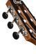 CORT Sunset Nylectric II Electric Guitar (Black) 41190 photo 7