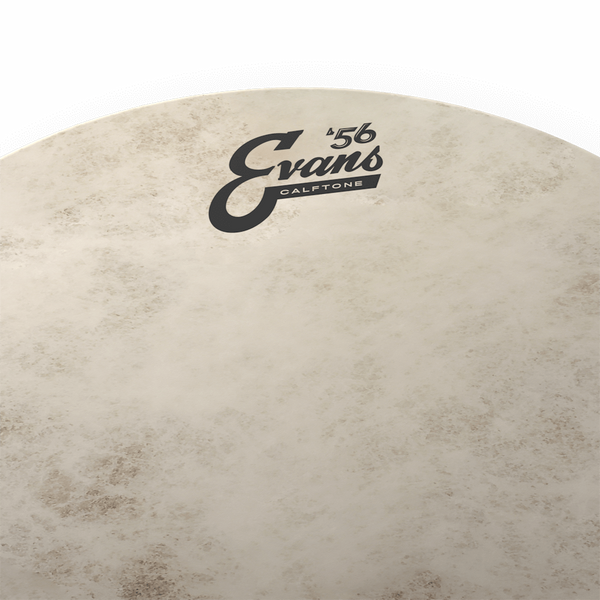 EVANS 12" CALFTONE 34343 фото