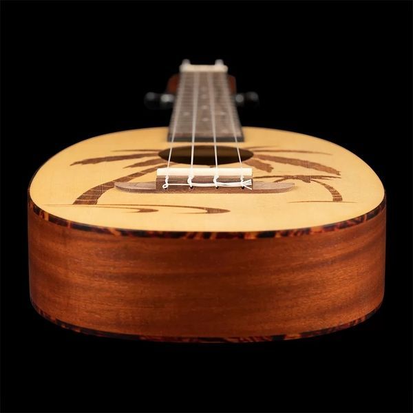 Укулеле Ortega Bonfire RUPA5 Concert Ukulele Spruce/Sapele Natural 125110 фото