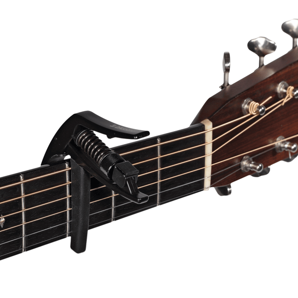 D'ADDARIO PW-CP-10 ARTIST CAPO (Black) 32088 фото
