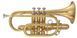 Cornet MAXTONE TCC-53/L B♭ 32435 photo 1