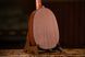 Укулеле Ortega Bonfire RUPA5 Concert Ukulele Spruce/Sapele Natural 125110 фото 8