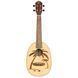 Укулеле Ortega Bonfire RUPA5 Concert Ukulele Spruce/Sapele Natural 125110 фото 2