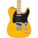 Электрогитара FENDER Standard Tele MN BPG BTB 608517 фото 3