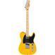 Электрогитара FENDER Standard Tele MN BPG BTB 608517 фото 1