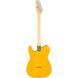 Электрогитара FENDER Standard Tele MN BPG BTB 608517 фото 2