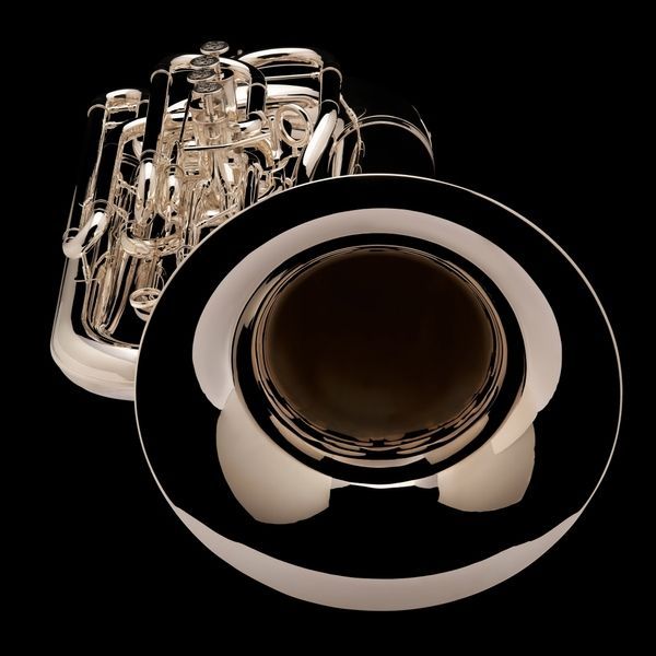 6/4 Eb Tuba &lsquo;Tubby&rsquo; Wessex TE665HP, silver plated
