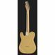Электрогитара FENDER AM Perf Tele HUM MN VWT 453004 фото 3