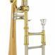Тромбон Schagerl Mnozil Brass 545220 фото 4