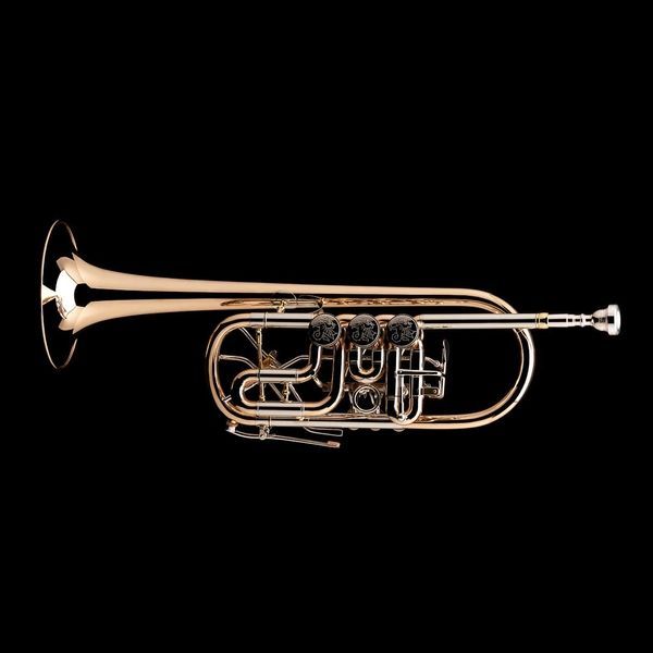 C Rotary Trumpet Wessex R48HP R48HP-GB photo