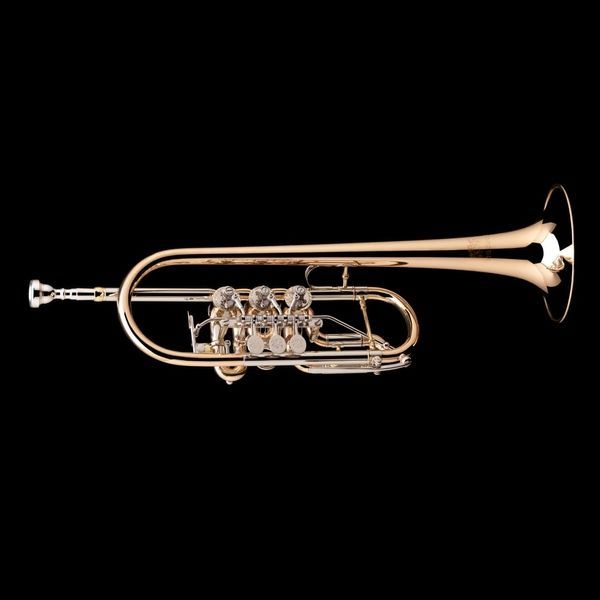 C Rotary Trumpet Wessex R48HP R48HP-GB photo