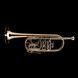 C Rotary Trumpet Wessex R48HP R48HP-GB photo 2
