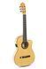 Классическая гитара с подключкой GEWA Pro Arte Flamenco Cutaway, 4/4 G-500126 фото 1