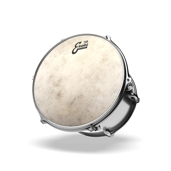EVANS 18" CALFTONE 34347 фото