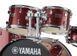 YAMAHA RYDEEN (BURGUNDY GLITTER) 34392 фото 2