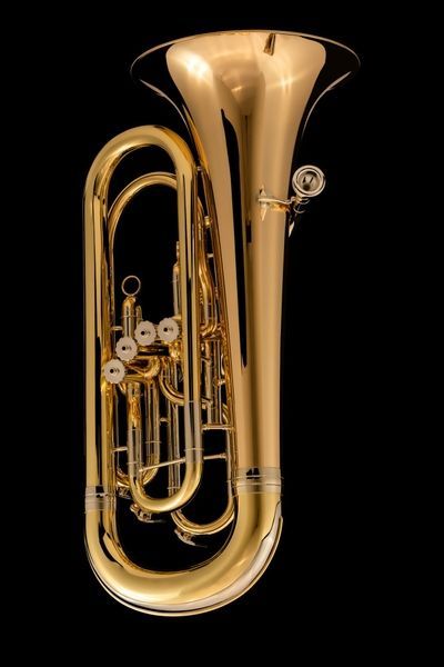 &lsquo;Festivo&rsquo; Front-Valve Compensated Bb Euphonium Wessex EP104P, gold brass EP104P-GB photo