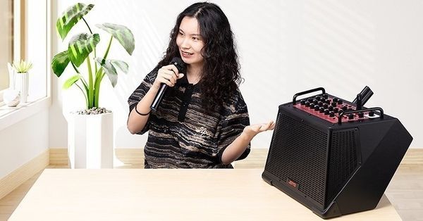 Комбоусилитель многофункциональный Joyo BSK-150 Black 128768 фото