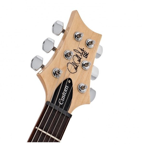 Електрогітара PRS SE Custom 24-8 (Eriza Verde) 39669 фото